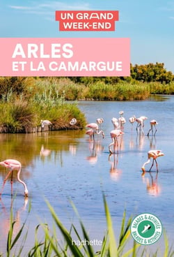 Un grand week-end : Arles et la Camargue