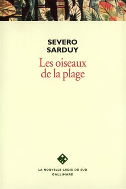 Les oiseaux de la plage