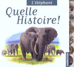 L'elephant - quelle histoire