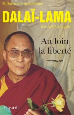 Au loin la liberté : Mémoires