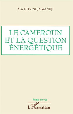 Le cameroun et la question énergetique