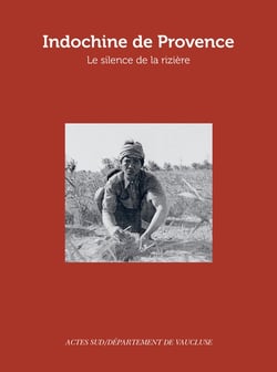 Indochine de Provence - le silence de la rizière