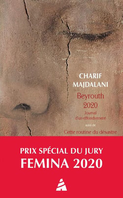 Beyrouth 2020 : journal d'un effondrement