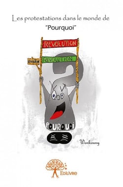 Les protestations dans le monde de "pourquoi"