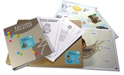 Activités scientifiques à la maternelle