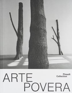 Arte Povera : 300 millions d'années