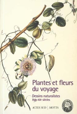 Les plantes et les fleurs du voyage