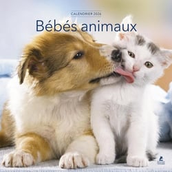 Bébés animaux (édition 2026)