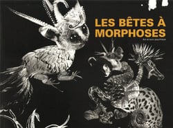 Les bêtes à morphoses - art et soin psychique