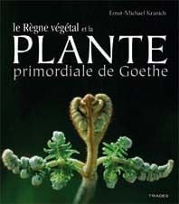 Le règne végétal de la plante primordiale de Goethe