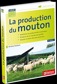 La production du mouton