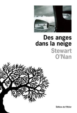 Les anges dans la neige