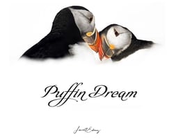 Puffin dream
