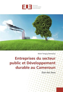 Entreprises du secteur public et développement durable au Cameroun - état des lieux