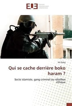 Qui se cache derriere boko haram ?