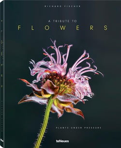 A tribute to flowers / plants under pressure