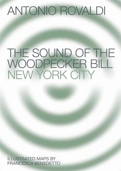 The sound of the woodpecker bill - new york city