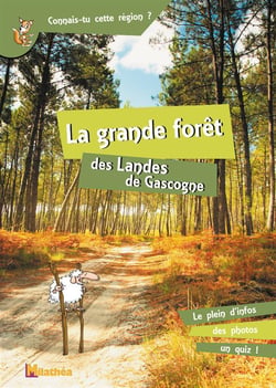 La grande forêt - des landes de gascogne