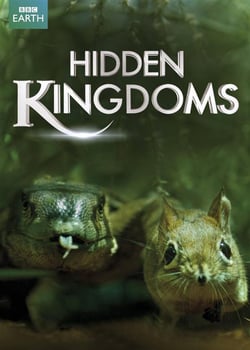 Hidden Kingdoms : le peuple miniature