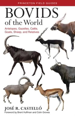 Bovids of the world : antelopes, gazelles, cattle, goats, sheep, and relatives