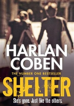 Shelter : From the Number One bestselling creator of the hit Netflix series Missing You