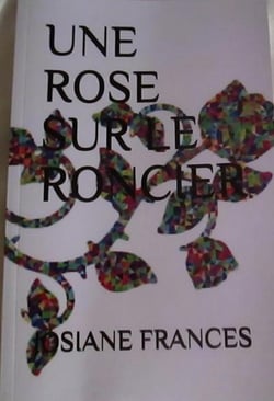 Une rose sur le roncier
