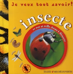 Insecte - un mot et mille choses à découvrir