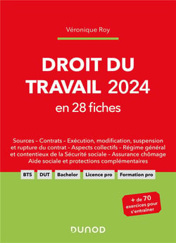 Droit du travail en 28 fiches (édition 2024)