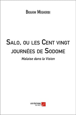 Salo, ou les cent vingt journées de Sodome - malaise dans la vision