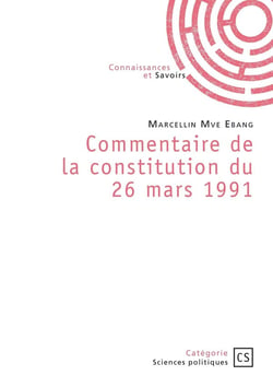 Commentaire de la constitution du 26 mars 1991