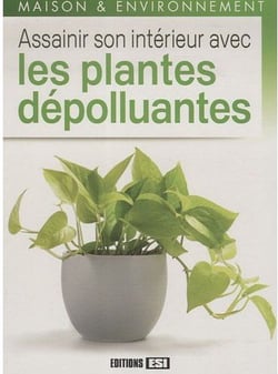 Assainir Son Interieur Avec Les Plantes Depolluantes