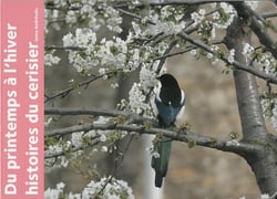 Du printemps à l'hiver - histoires du cerisier
