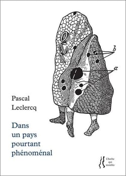 Dans un pays pourtant phénomenal