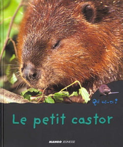 Le petit castor