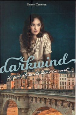 Darkwind t.2 - une étincelle dans la nuit