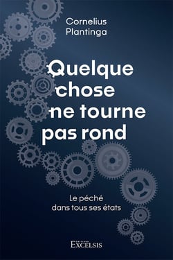 Quelque chose ne tourne pas rond : Le péché dans tous ses états