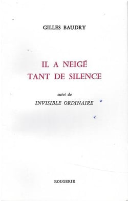 Il a neigé tant de silence