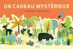 Un cadeau mystérieux