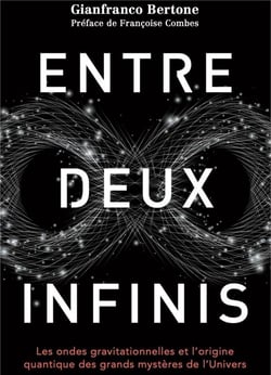 Entre deux infinis : les ondes gravitationnelles et l'origine quantique des grands mystères de l'univers