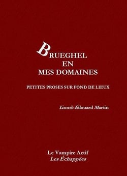 Brueghel en mes domaines, petites proses sur fond de lieux