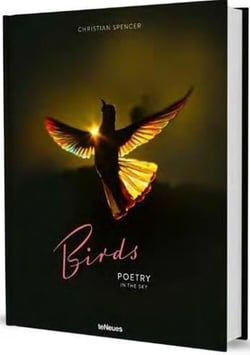 Christian Spencer birds