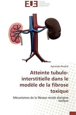 Atteinte tubulo-interstitielle dans le modele de la fibrose toxique
