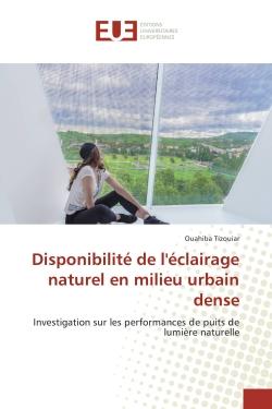 Disponibilite de l'eclairage naturel en milieu urbain dense : Investigation sur les performances de puits de lumière naturelle