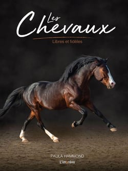 Les chevaux - libres et fidèles