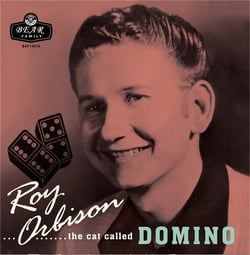 Cat called Domino