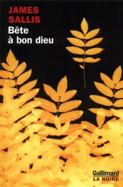 Bête à bon dieu