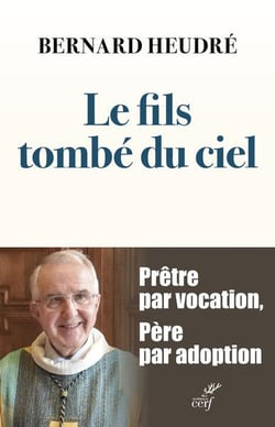 Le fils tombé du ciel : Prêtre par vocation, père par adoption