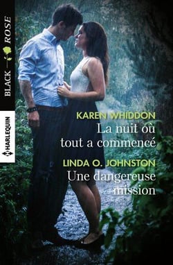 La nuit où tout a commencé - une dangereuse mission