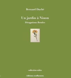 Un jardin a ninon - divagations florales