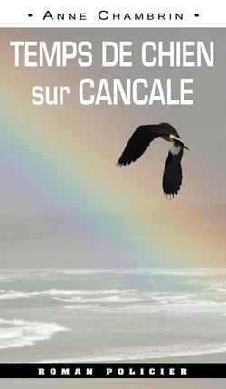 Temps de chien sur Cancale